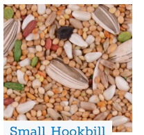 Nature's Feast Small Hookbill