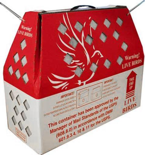 USPS Live Bird Shipping Box(boxes only)